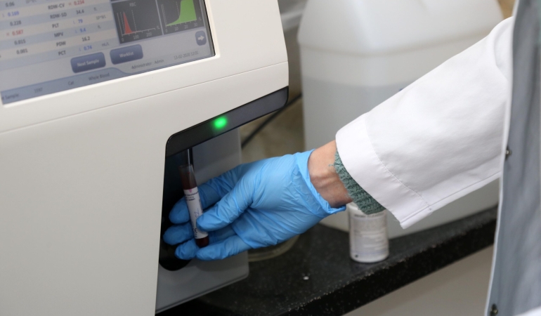 Karabağlar Belediyesi’nden sokak hayvanlarına modern hizmet