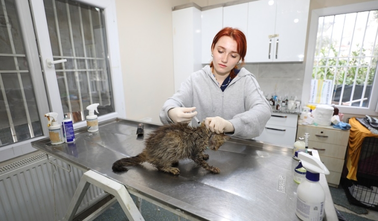 Menderes Belediyesi’nden Can Dostlara Müjde