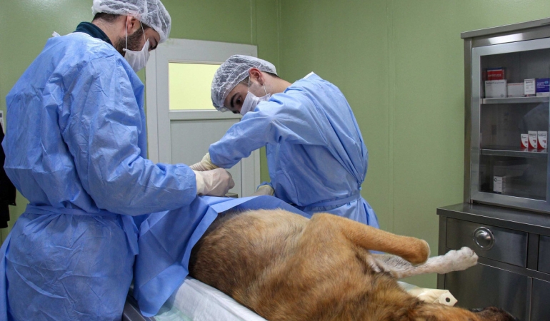 Buca’da can dostlar için yoğun mesai