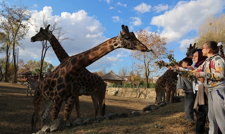 Bursa Büyükşehir Belediyesi’nden öğrencilere karne hediyesi