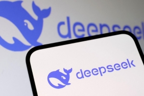deepseek nedir 1