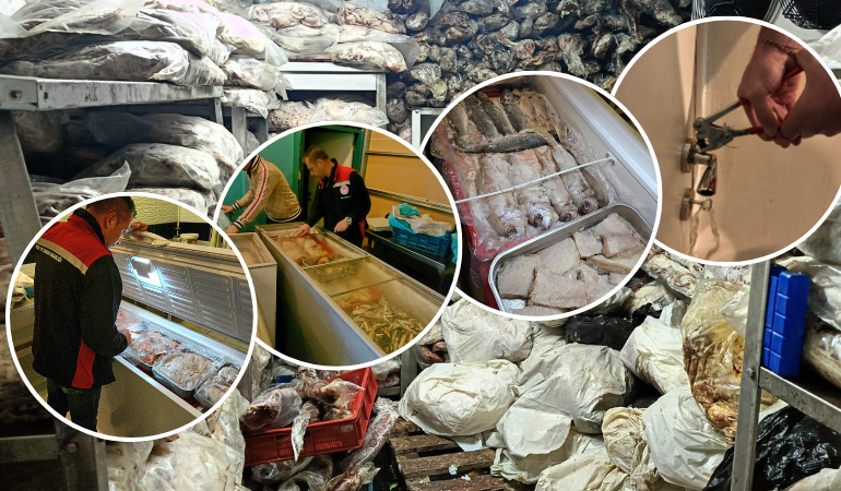 Tonlarca Kaçak ve Bozuk Et ile Balık Ele Geçirildi