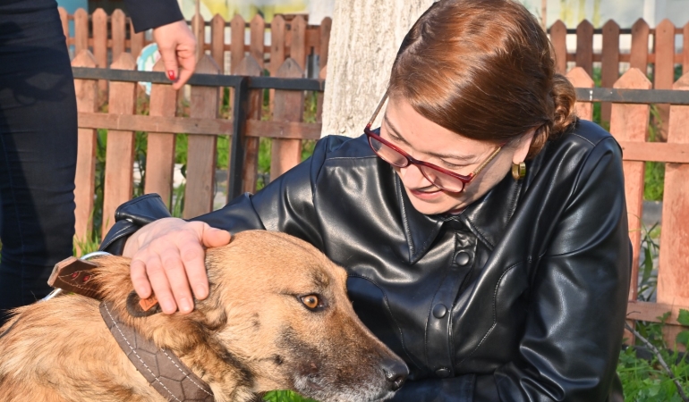 Manisa Büyükşehir’den hayvan sahiplenmeye teşvik kampanyası