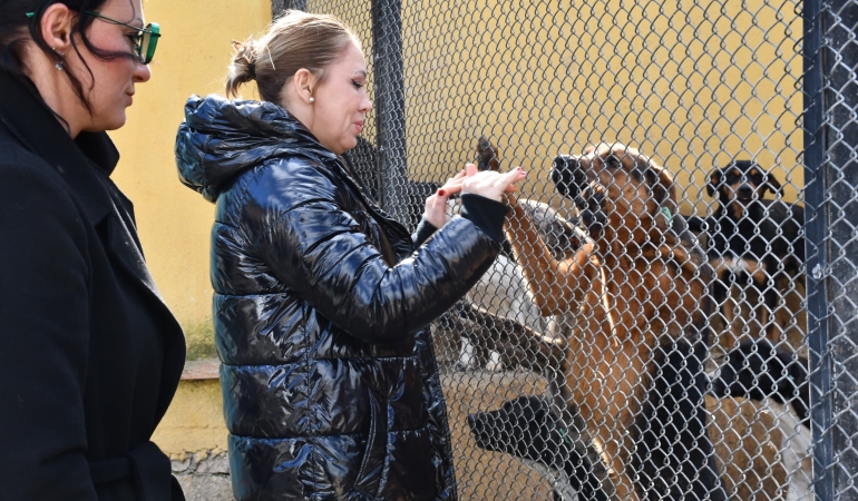 Manisa’da Sokak Hayvanları için Ortak Akıl, Bilimsel ve Akılcı Yaklaşım