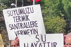 çevre eylem orman ekoloji