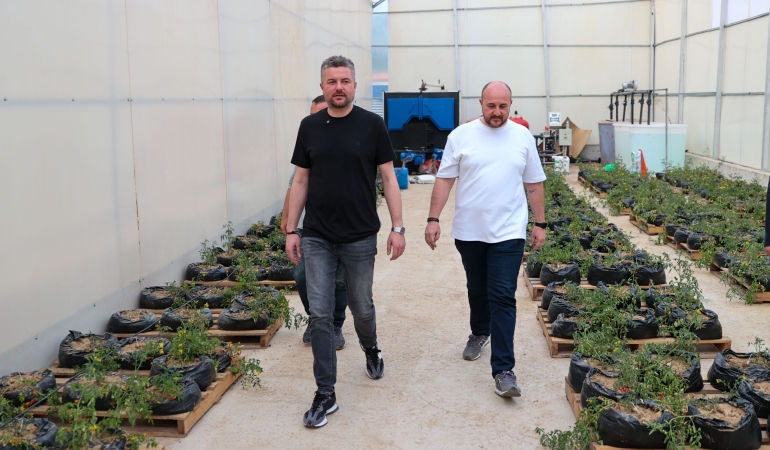 Buca Belediyesi’nden topraksız tarım uygulamaları