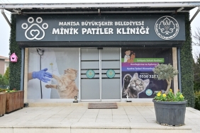 manisa minik patiler