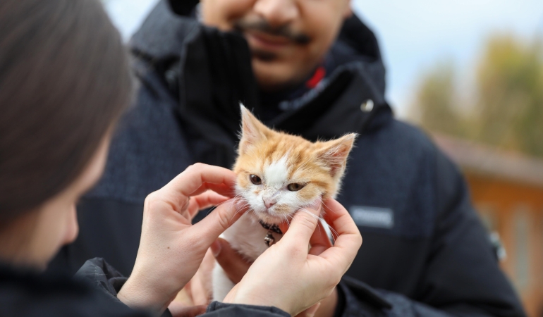 Buca’nın sessiz sakinleri için özenli çalışma