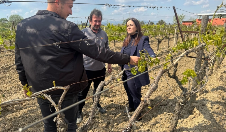 İYİ Partili kadın başkan Aytaç, Çiftçimizin zararı büyük