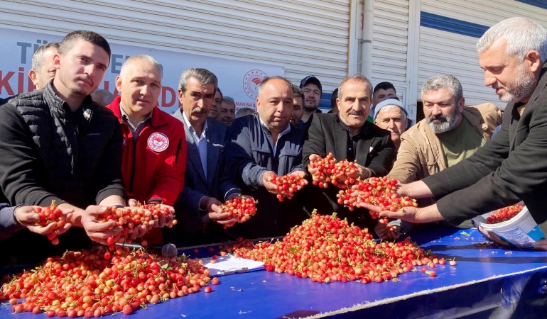 Kuzey kürenin ilk erkenci kirazı 3500 TL’den satıldı: Geçen yıl 2000 TL’den alıcı bulmuştu – dokuz8HABER