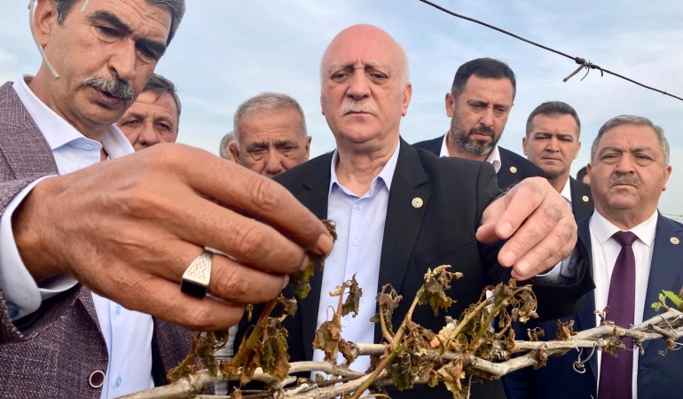 TZOB Başkanı Bayraktar, Manisa’da don afetinin yaşandığı bağları inceledi
