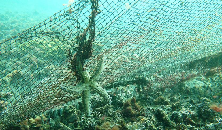İzmir Karaburun’da denizden 1,5 ton hayalet ağ çıkarıldı