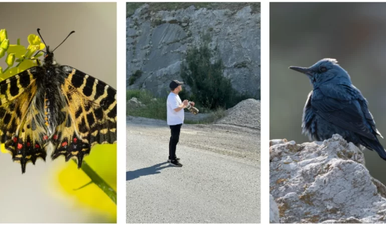Manisa'da Kuş ve kelebek gözlemcisi Osman Fidan, göç eden kuşları ve kelebekleri fotoğrafladı
