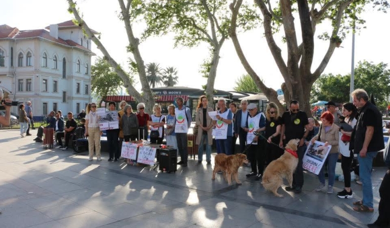 Bandırma’da Tüm Emekliler Sendikası ve hayvanseverlerden ‘katliam yasasına tepki