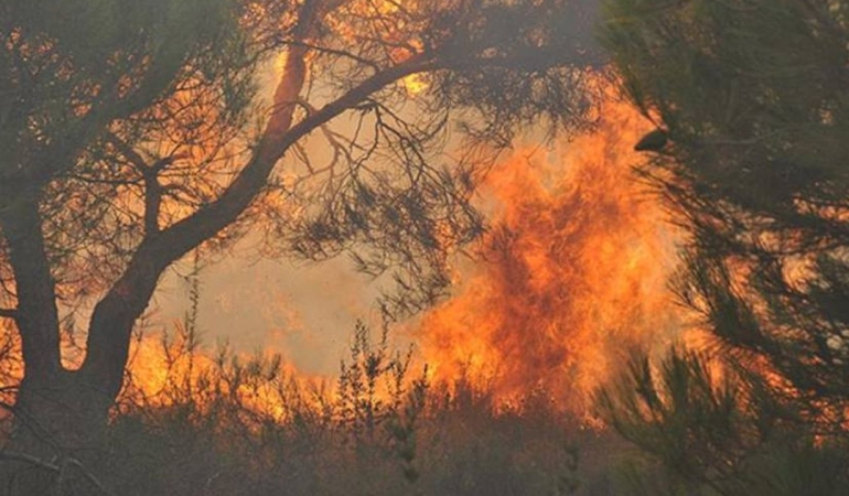 İzmir’in Menderes ve Seferihisar ilçelerinde çıkan orman yangınlarına müdahale sürüyor