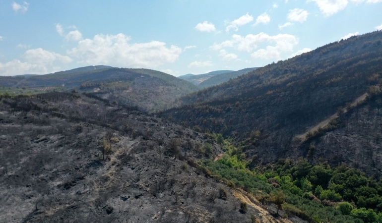 Manisa Akhisar’daki orman yangını 3’üncü gününde de devam ediyor
