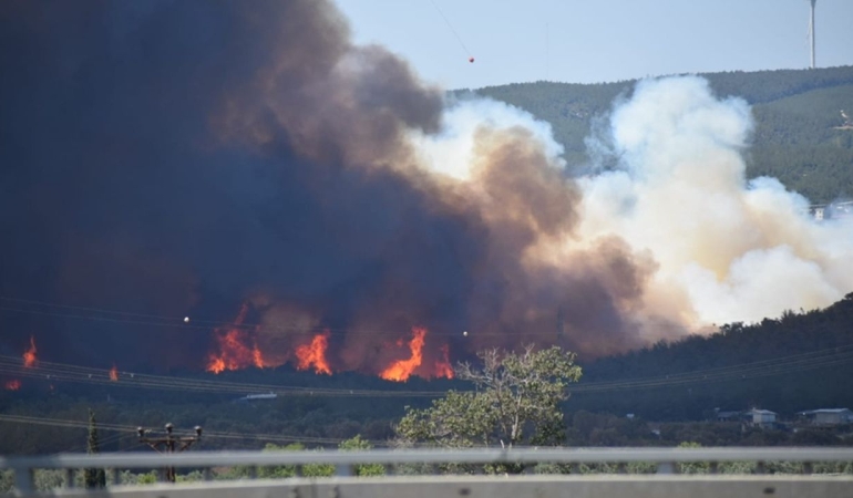 İzmir Bornova’da tarım arazisinde başlayan yangın ormana sıçradı