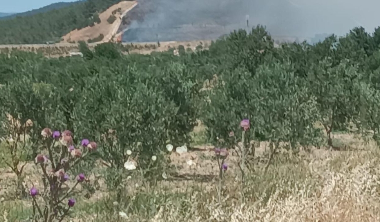 Manisa’da Soma’da yangın
