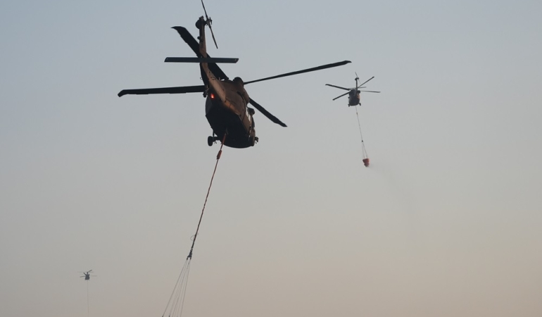 İzmir’de çıkan orman yangına müdahale ediliyor