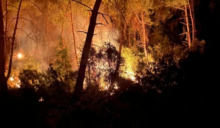 İzmir Urla’da orman yangını: Müdahale devam ediyor