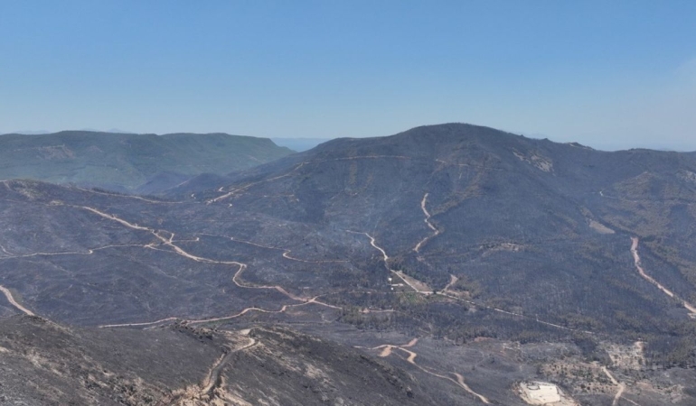 Seferihisar ve Menderes yangınlarının bilançosu ağır