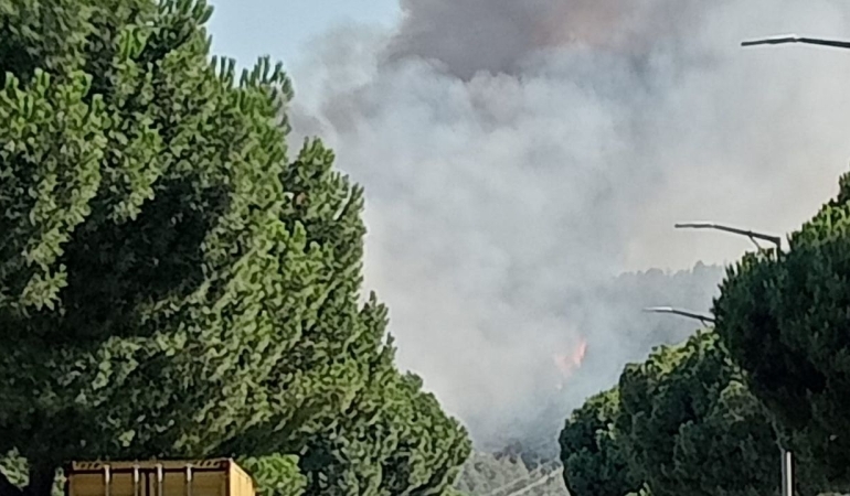 Manisa’daki orman yangınları sebebiyle sanayi bölgesinde üretim durdu