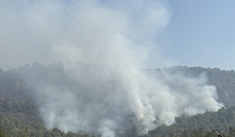 Uşak’ta yangın çıktı