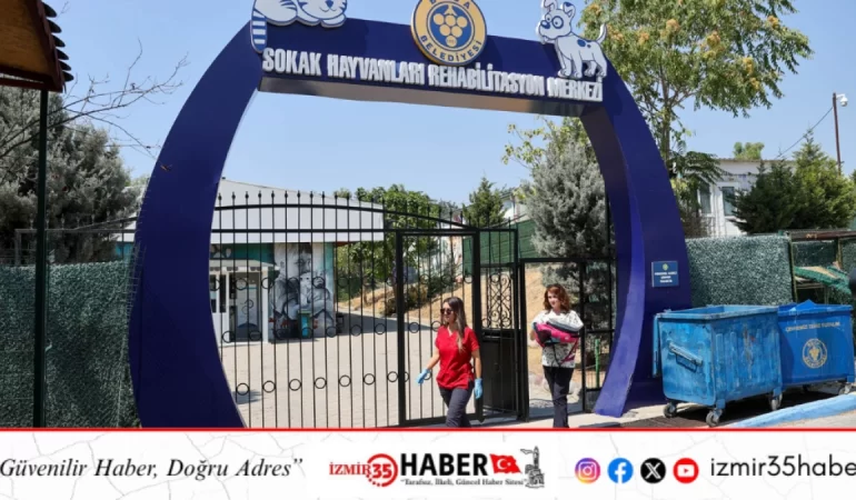 Buca’daki can dostlar sizi bekliyor