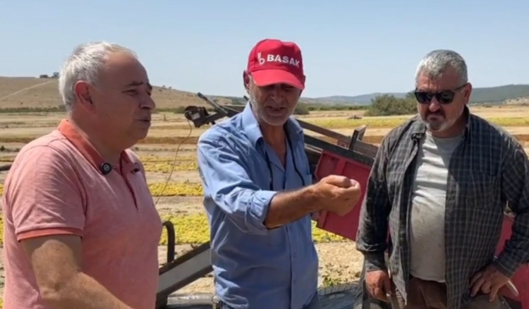 Manisalı üzüm üreticileri isyan etti: Enflasyonla yarışamıyoruz