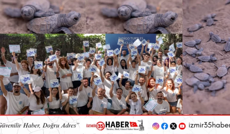 Mavi Gönüllüleri, Caretta Caretta’ları Akdeniz’le buluşturmaya devam ediyor