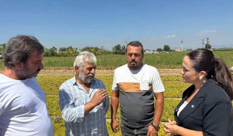 İYİ Partili Başkan Aytaç, üzüm üreticilerinin sorunlarını dinledi
