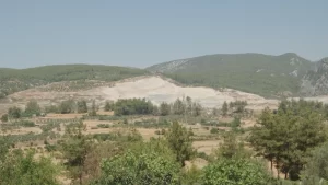WWF-Turkiye-Doga-Tasinamaz-Ekosistem-Yerinden-Edilemez.webp.webp