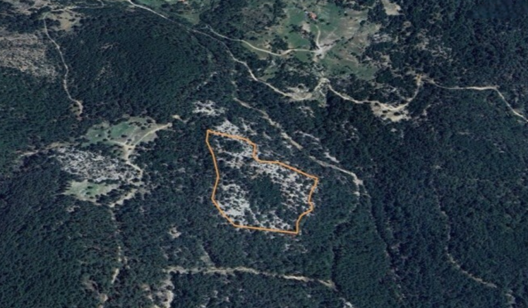 Muğla’daki ormanlık alana maden ocağı projesine “ÇED olumlu” kararı