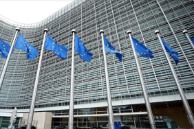 AB ve 11 ülkeden, ABD'nin Ukrayna'da barış planına ilişkin ortak