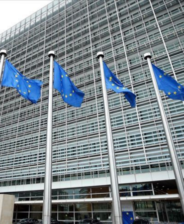 AB ve 11 ülkeden, ABD'nin Ukrayna'da barış planına ilişkin ortak