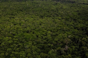 Amazon’daki İklim Zirvesinin Taslağı Ormanları Görmezden Geliyor