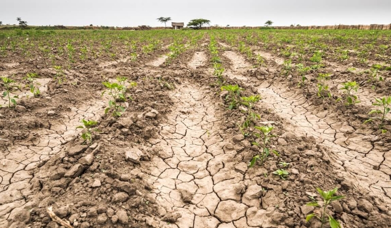 Aşırı Hava Olayları Tarımı Vurdu: 30 Yılda 3 Trilyon Dolarlık Kayıp