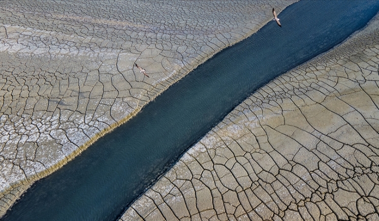 Brezilya İklim Sağlık Eylem Planını Başlattı