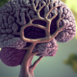 Cambridge'de yapılan araştırmaya göre beynin 'ergenlik' dönemi 32 yaşında bitiyor