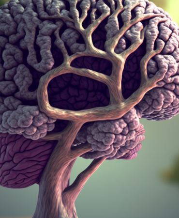 Cambridge'de yapılan araştırmaya göre beynin 'ergenlik' dönemi 32 yaşında bitiyor