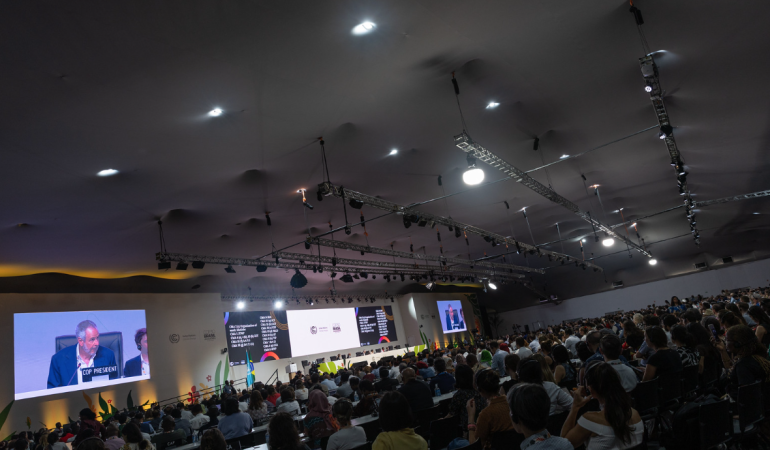 Dünya COP30’da Fosil Yakıtlara Dair “Şifreli” Mesaj Veren Metni Onayladı