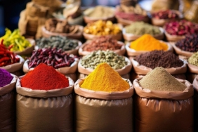 EGEPRESS BAHARAT (7)