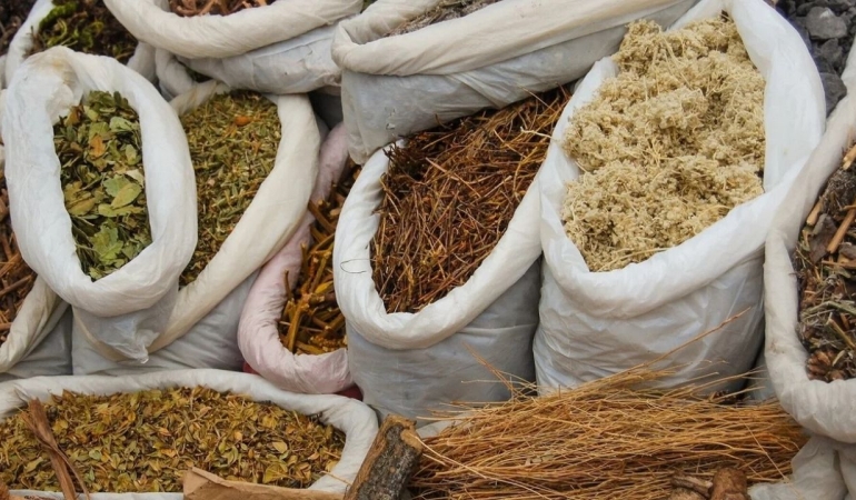 Yaban Mersini: En Güçlü Antioksidan Kaynağı, Faydaları ve Sağlığa Etkileri