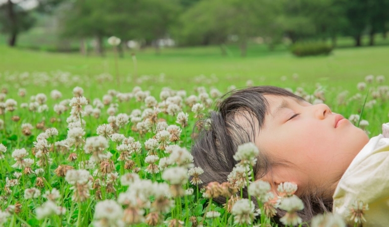 Rüyada Aslanağzı Görmek Ne Anlama Gelir? İşte 4 Maddede Rüya Yorumu