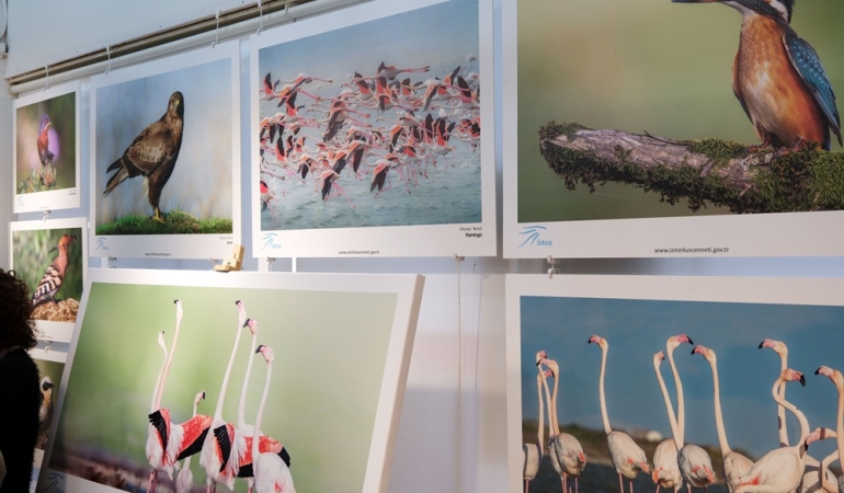 Foça’da Gediz Deltası sergisi ve kuş karikatürleri yarışması ödülleri sahiplerini buldu