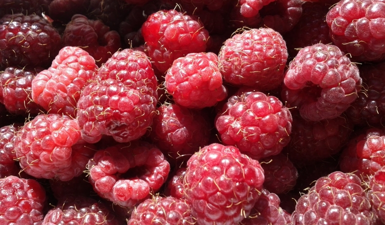 Frambuazın Şaşırtıcı Faydaları: Kansere Karşı Koruyucu Etkisi ile Öne Çıkıyor!