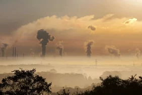 İklim Endeksi Yayında: Dünya İlerleme Kaydediyor, Türkiye Yerinde Sayıyor