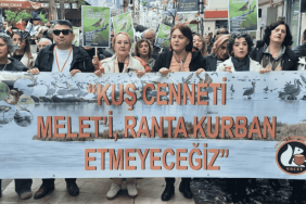 Ordu halkından 'Beton' tepkisi: Mahkeme iptal etti, belediye ısrarcı