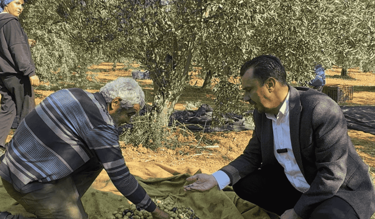 Manisa zeytin üreticileri Başevirgen’e dert yandı: Giderler 3 misli arttı, gönül olmasa bu iş yapılmaz
