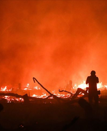 AB ormanları 2025'teki yangınlarda kayıtlardaki en büyük kaybı yaşadı